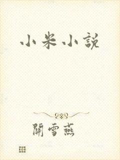 小米小说