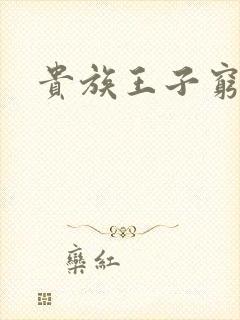 贵族王子穷公主