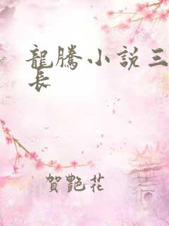 龙腾小说三宝局长