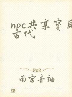 npc共享宝贝古代