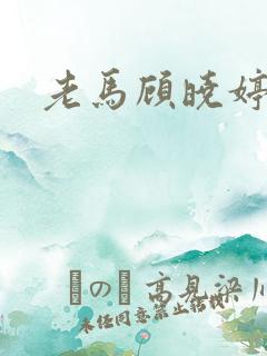 老马顾晓婷小说