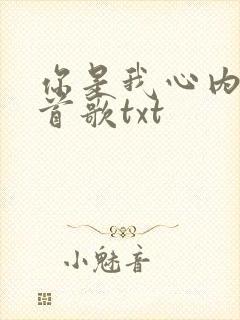 你是我心内的一首歌txt