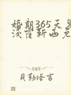 婚期365天慕浅霍靳西免费阅读