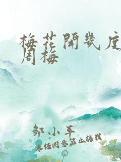 梅花开几度老张周梅