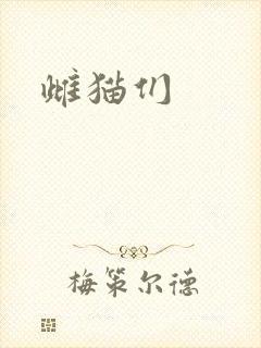 雌猫们