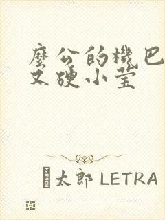 么公的机巴又粗又硬小莹