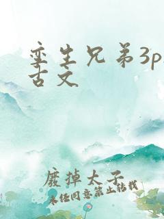 孪生兄弟3ph古文