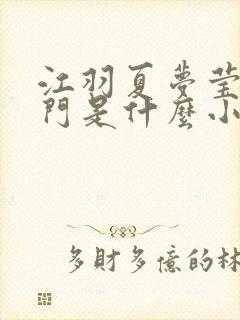 江羽夏梦莹神谕门是什么小说