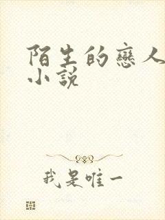 陌生的恋人原著小说