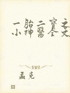 一胎二宝之弃妃小神医全文免费阅读