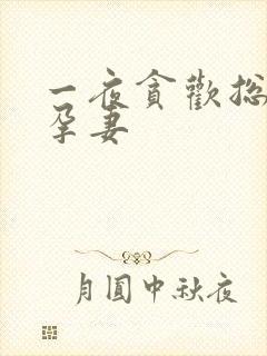 一夜贪欢总裁幸孕妻