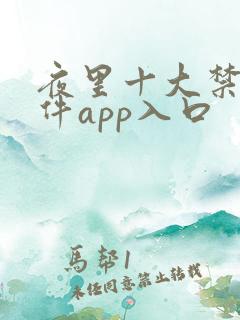 夜里十大禁用软件app入口
