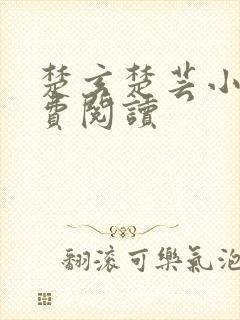 楚玄楚芸小说免费阅读