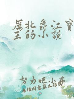 厉北爵江宝宝男主的小说