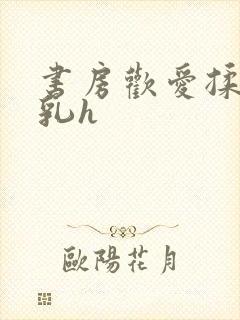 书房欢爱揉捏娇乳h