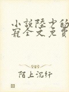 小说陆少的心尖宠全文免费阅读