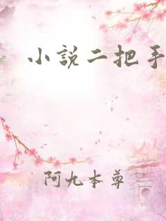 小说二把手