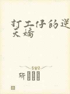 打工仔的逆袭楚天娇