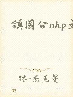镇国公nhp文