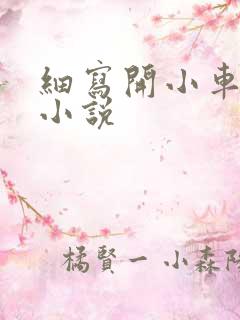 细写开小车车的小说