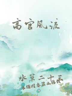 高官风流
