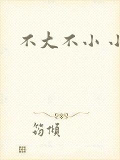 不大不小 小说