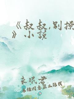 《叔叔,别撩我》小说