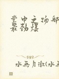 掌中之物哪一章最劲爆