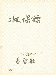 s级保镖