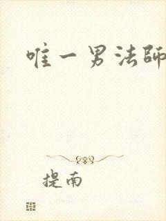 唯一男法师
