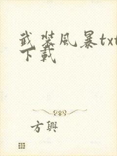 武装风暴txt下载