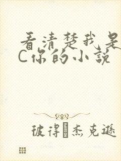 看清楚我是怎么C你的小说