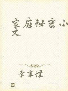 家庭秘密小说全文