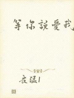 等你说爱我小说