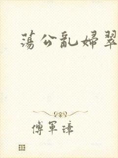 荡公乱妇翠翠