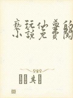 亵玩仙尊的道侣小说免费阅读