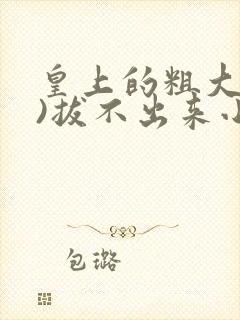 皇上的粗大(h)拔不出来小说