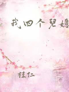我四个儿媳妇