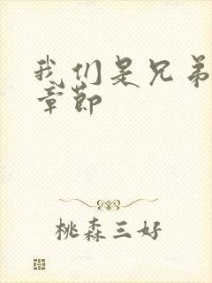 我们是兄弟最新章节