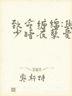 致命缠绵:与冷少暗夜孽爱