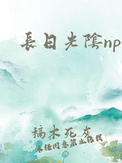 长日光阴np