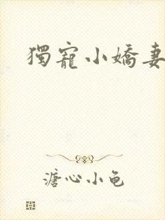 独宠小娇妻