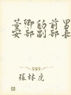 董卿的前男友公安部副部长