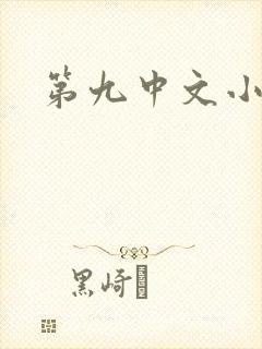 第九中文小说网