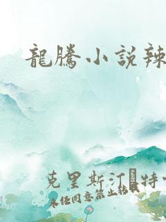 龙腾小说辣文网