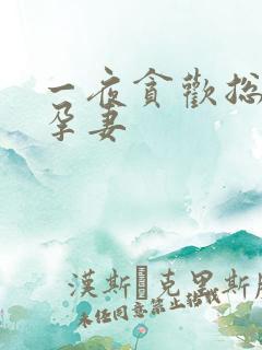 一夜贪欢总裁幸孕妻