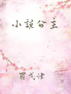 小说公主