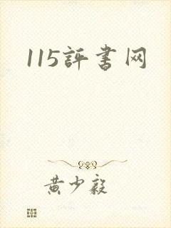 115评书网