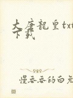 大唐龙皇txt下载