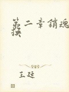 第二章销魂的交换